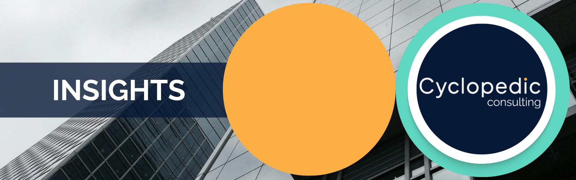insights header website